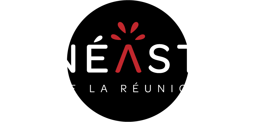 Les Cin&eacute;astes de La R&eacute;union