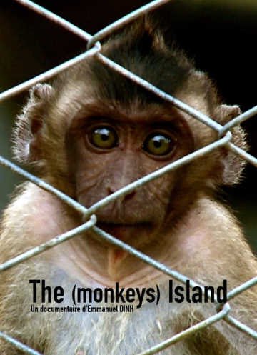 The (monkeys) island