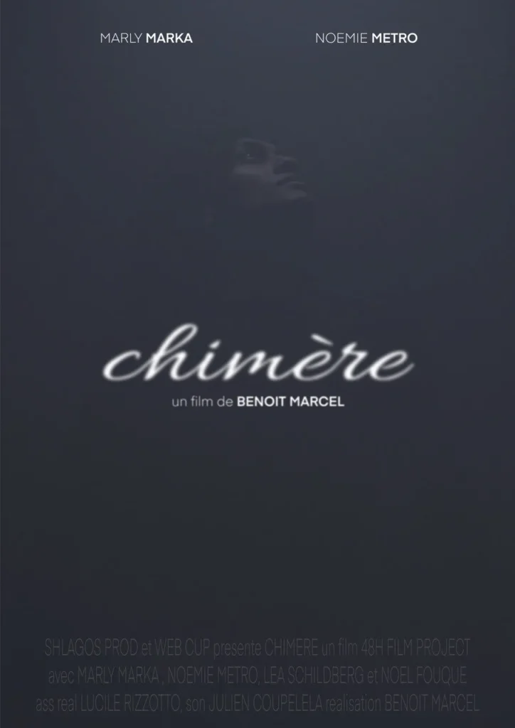 Affiche du film Chimère